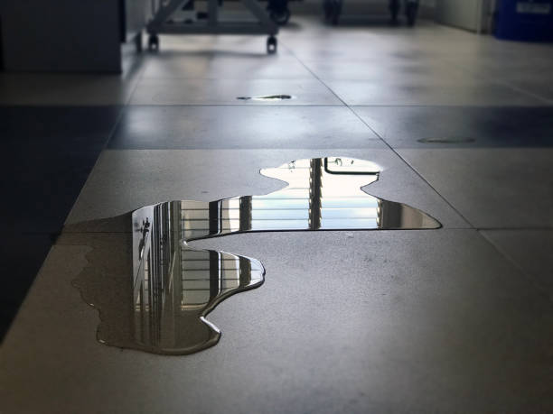 Best Water damage contractors near me  in Gibbsboro, NJ