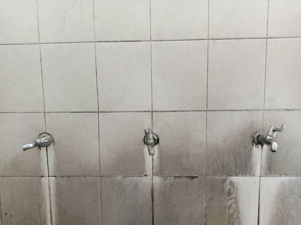 Best Water damage cleanup near me  in Gibbsboro, NJ