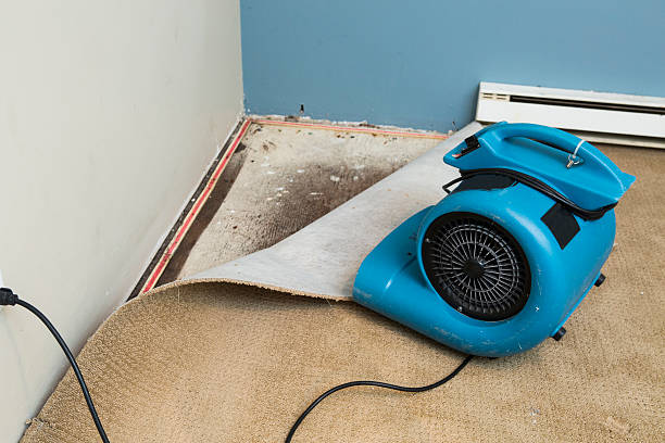Best Water damage restoration near me  in Gibbsboro, NJ